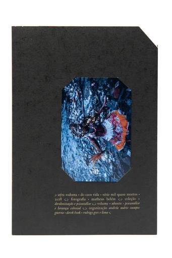 Cartas e outros textos (Gilles Deleuze; David Lapoujade. N-1